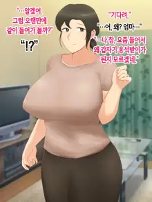 Itsumo yasashii bakunyuu kaasan ni honki de koi shita boku ga boshi rabuhamesekkusu o tassei suru made, 한국어