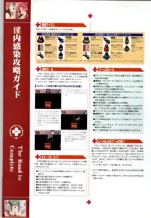 淫内感染 コンプリートファンブック, 日本語