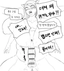 클레어! 넣을게!, 한국어