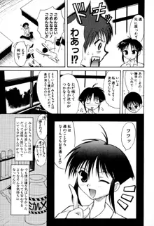 どきどき★しすたーず, 日本語