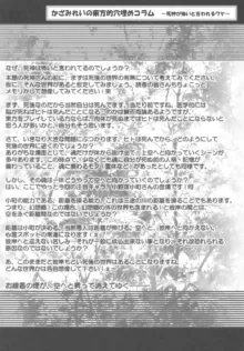 萌東方幻想郷 -東方死神小町, 日本語