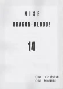 ニセDragon Blood! 14, 日本語