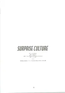 SURPRISE CULTURE, 日本語