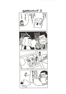 裸の人形, 日本語