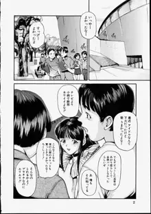 清純少女, 日本語