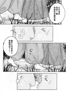 Sengoku Makurazoushi Inu Kago Abunae Hen (Inuyasha) | 战国枕草子犬薇 危绘篇（犬夜叉）, 中文