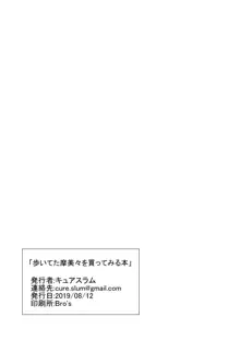 歩いてた摩美々を金で買ってみる本, 日本語