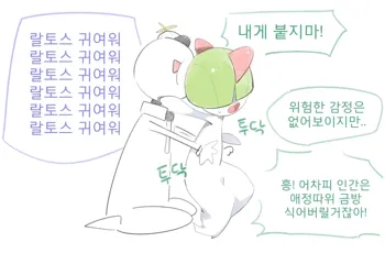 Kirlia's first love, 한국어