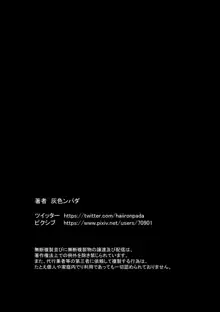 アイドル少女 恥辱な一日2 テレビ番組編, 日本語