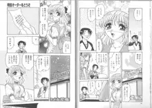 義母～淫らすぎる女たち～, 日本語