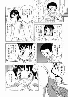 おとなたいけん, 日本語