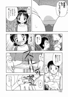 おとなたいけん, 日本語