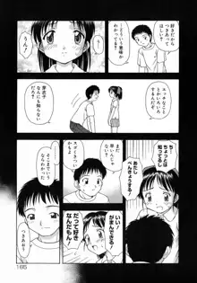 おとなたいけん, 日本語