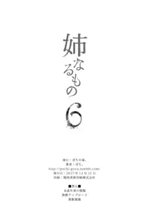 姉なるもの 1-11, 中文