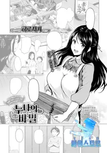 Ne-chan no Himitsu | 누나의 비밀, 한국어