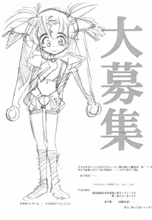 ママグル徒 活動報告書控 3, 日本語