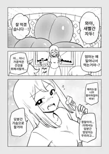 Reizoku Musume Fukutsu no Onna Kenshi, 한국어