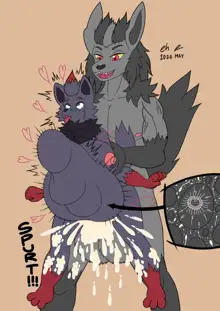 Mightyena & Zorua breeding time, English