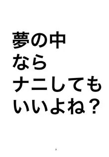 夢の中ならナニしてもいいよね？, 日本語