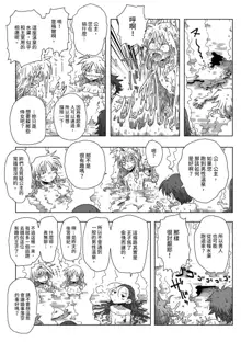 33-sai Dokushin Onna Kishi Taichou |  33歲單身女騎士隊長。, 中文