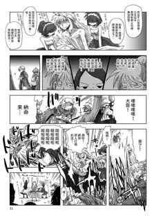 33-sai Dokushin Onna Kishi Taichou |  33歲單身女騎士隊長。, 中文