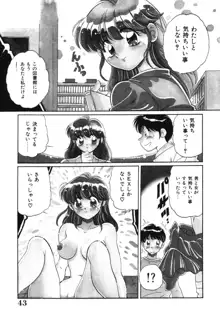 美処女散華, 日本語