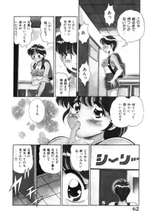 美処女散華, 日本語