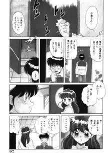 美処女散華, 日本語