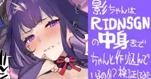 RIDNSGNのKJISE× + RIDNSGNの中はどうなっているのか, 日本語