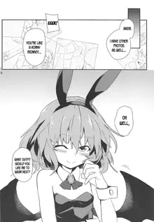 Bunny Remi Scramble, English