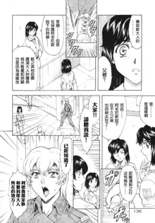 Ginryuu no Reimei Vol.3, 中文