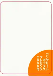 マリアさんには向かない職業, 日本語