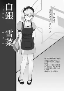 Mahou Shoujo Western Girls: Black & White, 日本語