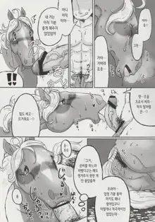 Horny Pony Stable, 한국어