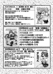 GURIMAGA Vol.6 てんむす, 日本語