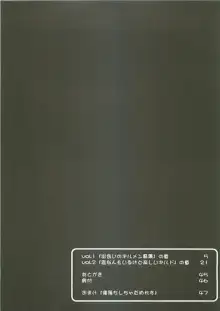 秘密のギルドにご用心 1+2+α, 日本語