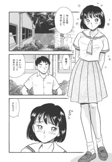 真夜中のセーラー服, 日本語