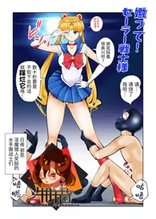 Nabutte! Sailor Senshi-sama, 中文