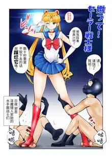 Nabutte! Sailor Senshi-sama, 中文