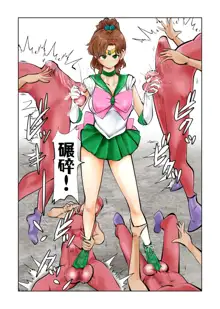 Nabutte! Sailor Senshi-sama, 中文