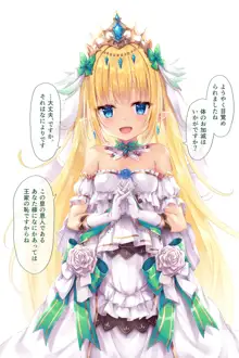 【エルフのお姫様】ミリスフィア様, 日本語