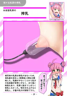 【おっぱいず★】おっぱいは世界を救うのだ☆彡, 日本語