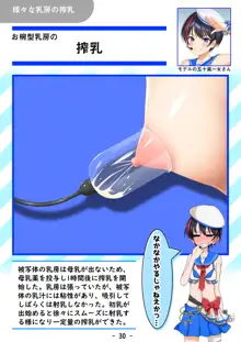 【おっぱいず★】おっぱいは世界を救うのだ☆彡, 日本語