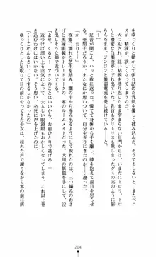 呪い屋零3 淫書の誘いに妖華咲く, 日本語