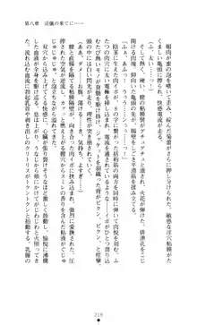 呪い屋零3 淫書の誘いに妖華咲く, 日本語