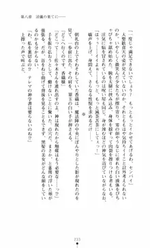 呪い屋零3 淫書の誘いに妖華咲く, 日本語