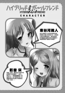 Hybrid Girlfriend Vol.2, 中文