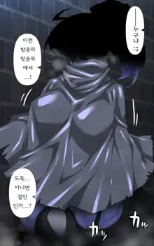 Onna Touzoku to Hentai Meikyuu - Thief girl in Trans dungeon, 한국어