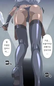 Onna Touzoku to Hentai Meikyuu - Thief girl in Trans dungeon, 한국어