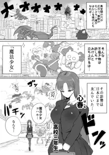 魔法少女の子宮にある濃い魔法パワーを餌にして育つ触手の子, 日本語